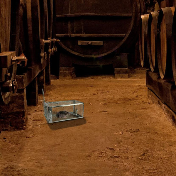 Rat Trap Cage Humane Live Rodent Trap Cage Metal Mice Mouse Control Bait Catch