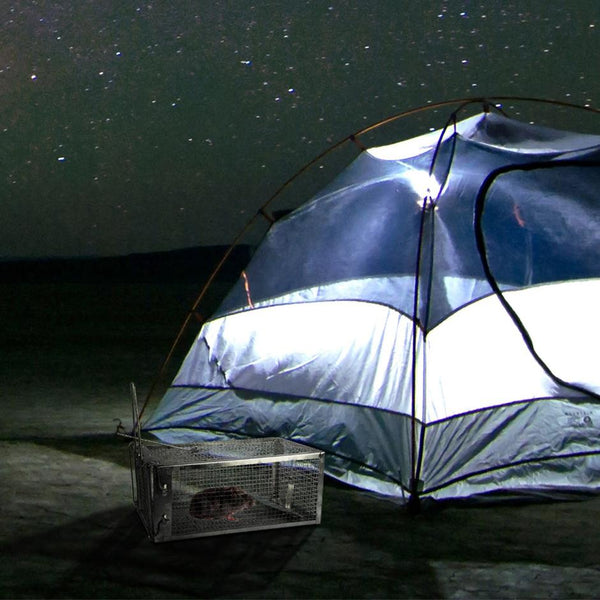 Rat Trap Cage Humane Live Rodent Trap Cage Metal Mice Mouse Control Bait Catch