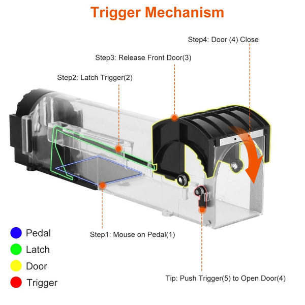 2Pcs Humane Live Mouse Trap Reusable Rat Rodent Trap Catch Release Cage Safe