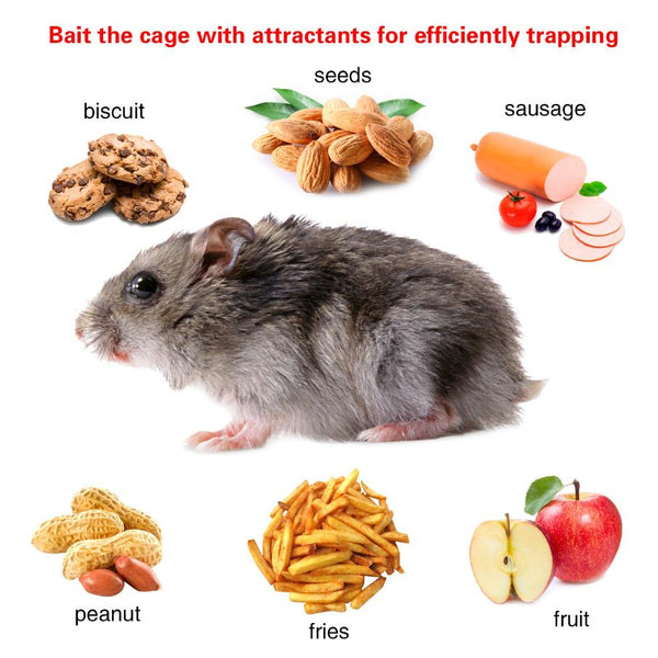 Rat Trap Cage Humane Live Rodent Trap Cage Metal Mice Mouse Control Bait Catch