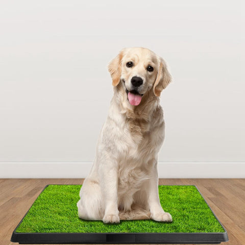 Dog Potty Training Artificial Grass Pad Pet Cat Toilet Trainer Mat Tray Turf Small Medium Dogs