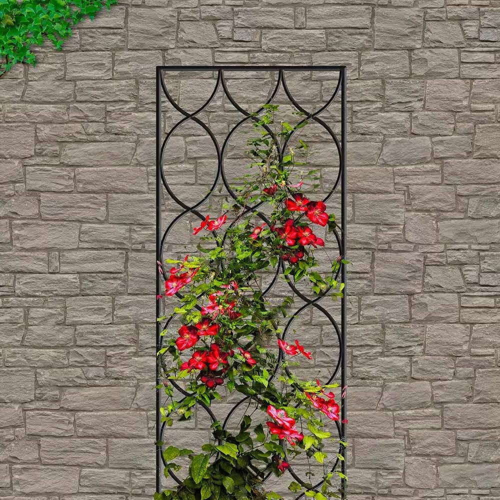 Modern 6-Ft Outdoor Metal Garden Trellis with Black Powder Coated Fini ...