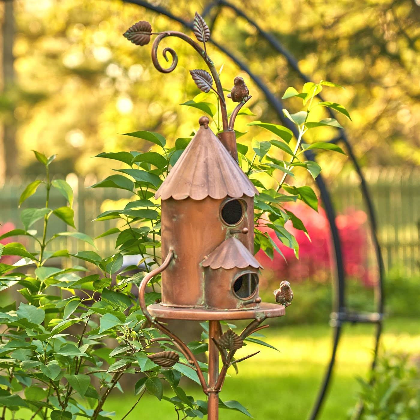 Stunning Cockatiel Birdhouse Designs With Cast Iron Frame image