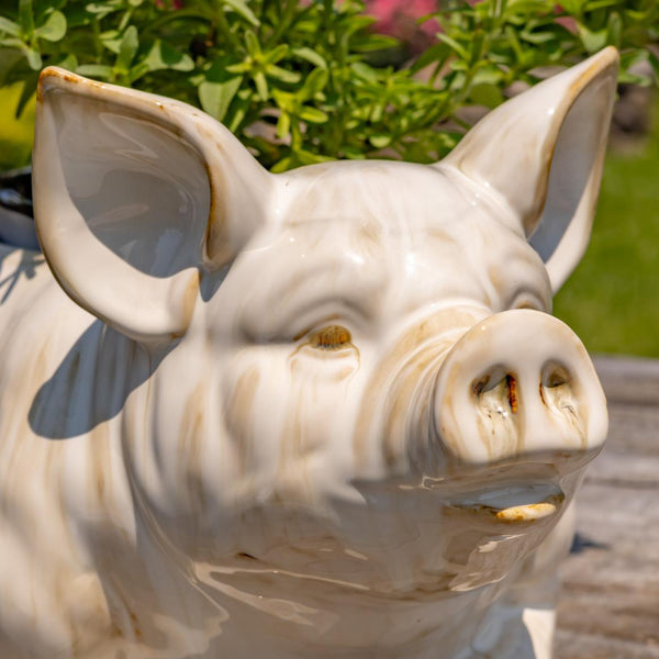 Hand Painted Ceramic Planters in Animal Designs