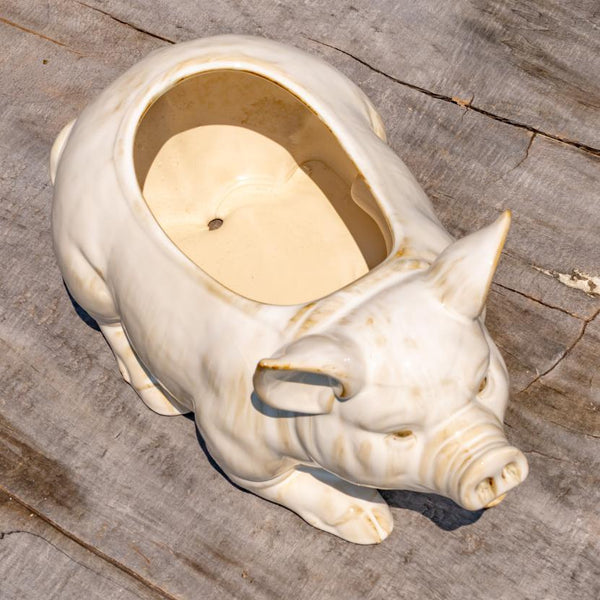 Hand Painted Ceramic Planters in Animal Designs