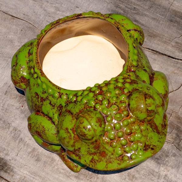 Hand Painted Ceramic Planters in Animal Designs