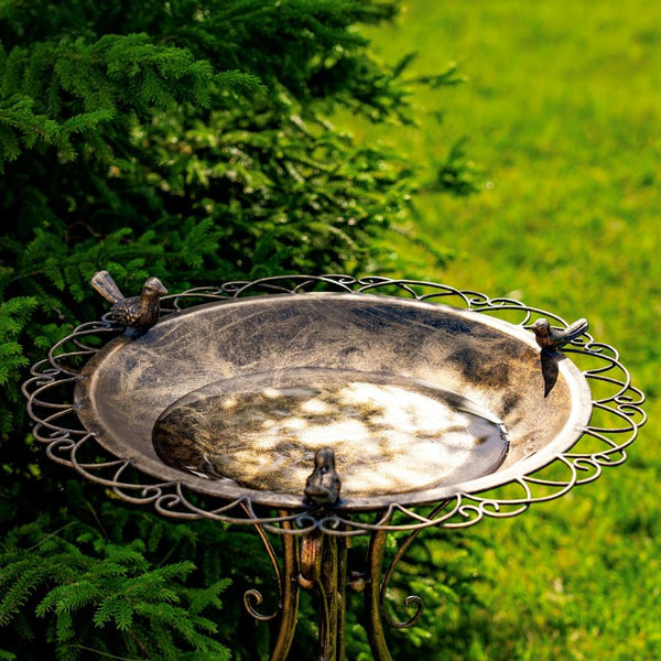 Ornate Round Iron Water Birbath with 3 Small Birds "Stephania"