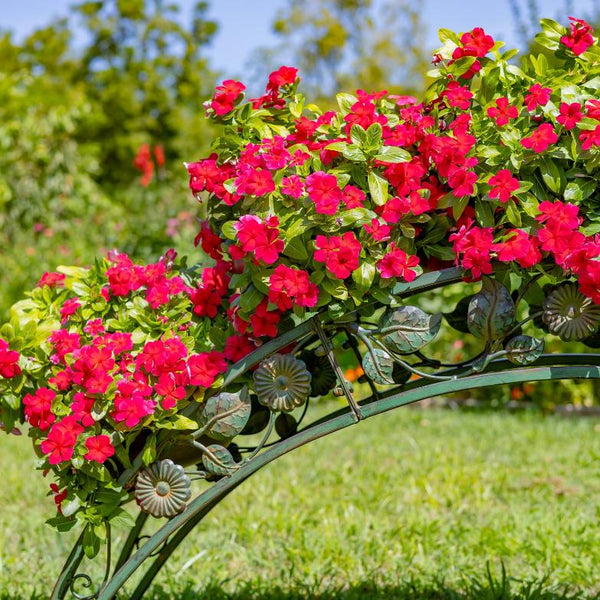 Bridge-Like Iron Plant Stand Arches with Five Planters 5ft. Long