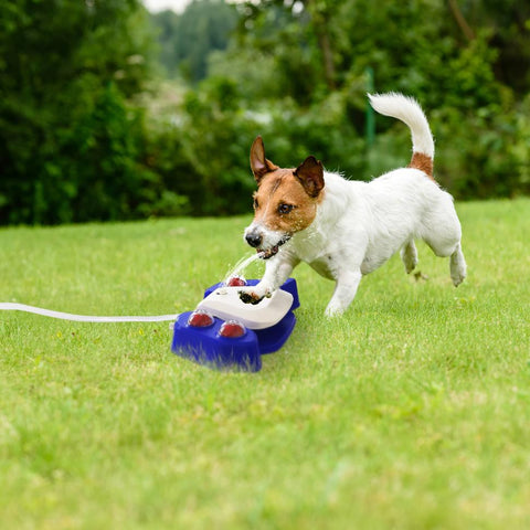 Step-on Activated Dog Water Fountain Automatic Pet Water Dispenser Sprinkler Drinking Shower