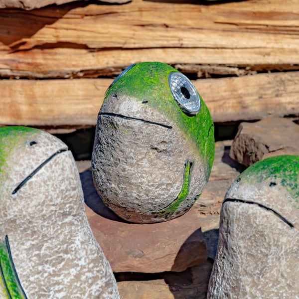 Set of 3 Solar Rock Frogs with Light up Eyes