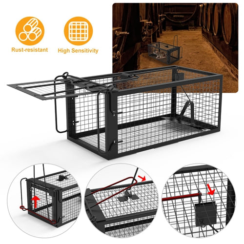 Small Humane Trap Cage Live Rodent Galvanized Iron Control Bait Catch