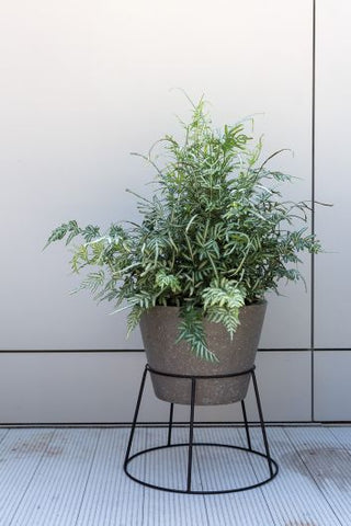 Fiji Plant Stand Speckled Grey Concrete with Iron Stand