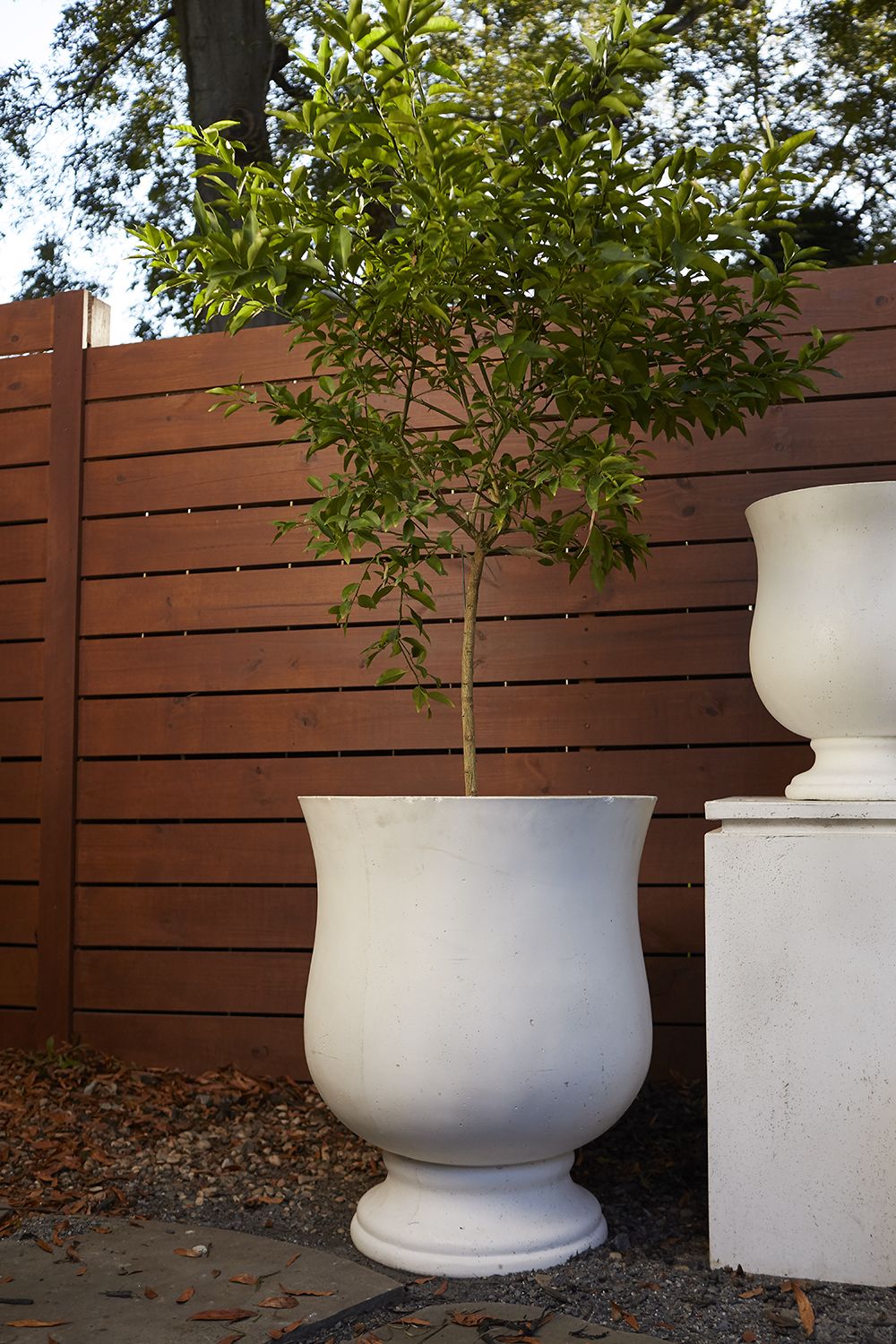 Tree pot deals