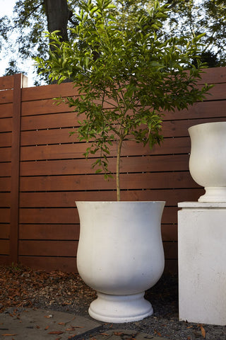 Garner Urn Shape Planter Pot White Concrete Large Outdoor Tree Pot
