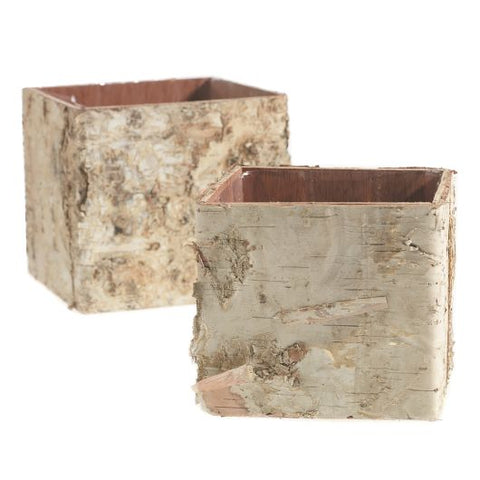 Small Flower Pots White Birch Bark Wood Square Cubes in Two Sizes
