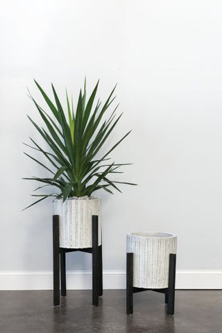 Moran Planter Set White Ceramic Pot Indoor Grower Stands