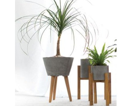 Tate Plant Stand Collection Wood Leg Concrete Pots Indoor Plant Decor