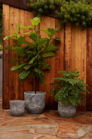 Vaughn Vase Small Plant Pots in Grey Ceramic for Outdoor